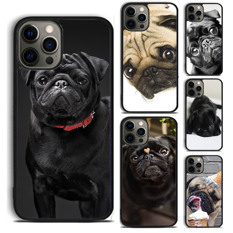Tier Schwarz Mops Nahaufnahme  – Apple Iphone 15 Bewertung und Preis